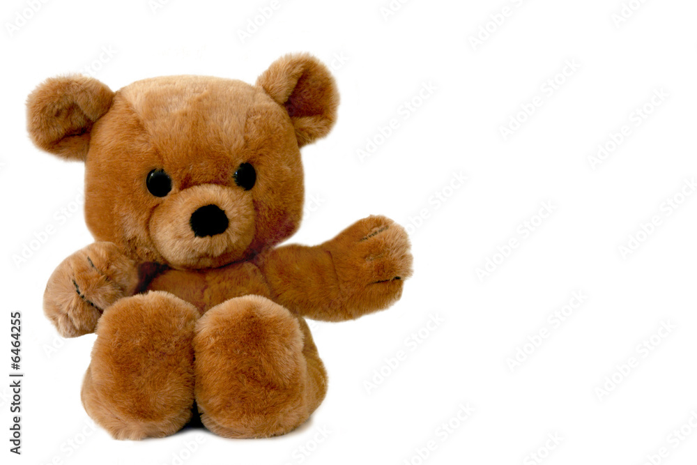 A big, brown teddy bear