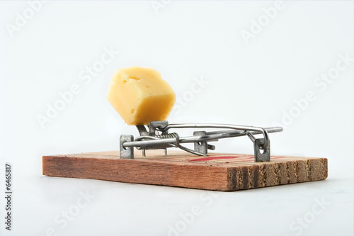 Tableau sur toile Alert mousetrap on a white background