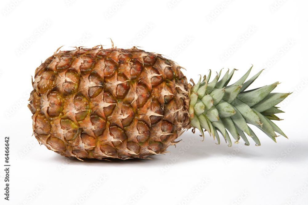 ananas ananas