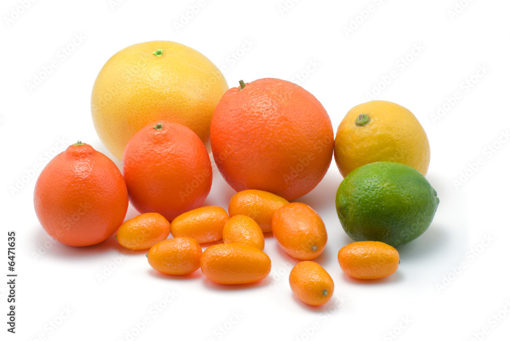 kumquats, lime, lemon, orange, grapefruit on white kumquats, lime, lemon, orange, grapefruit on white