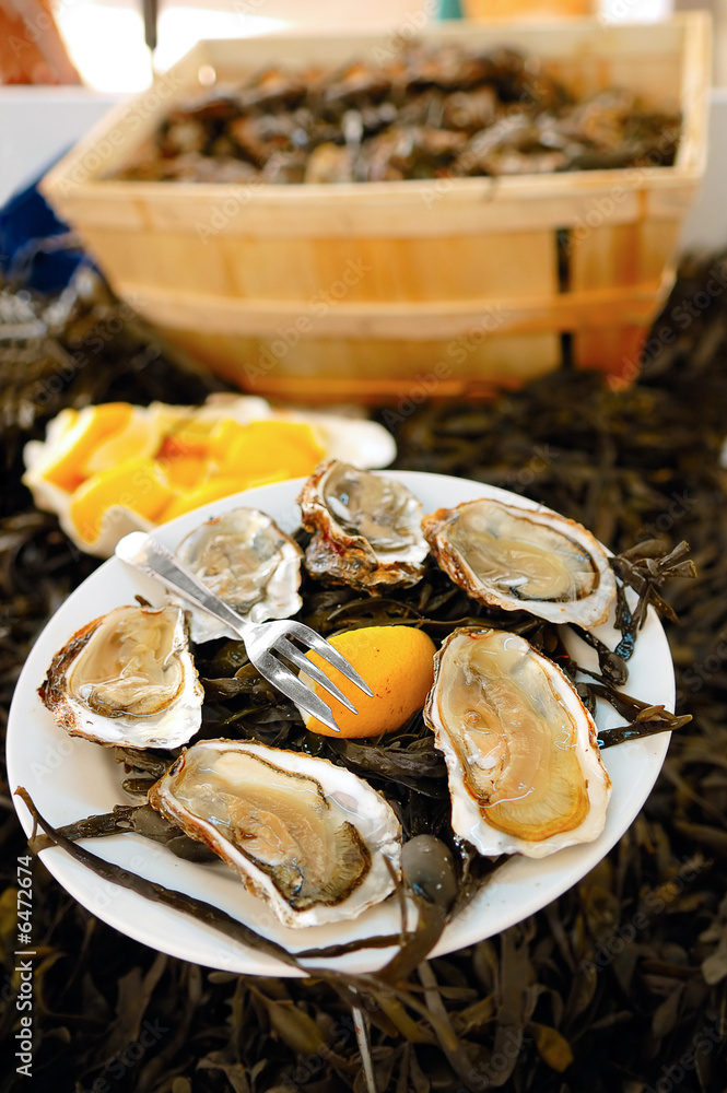 Oysters on a plate with lemon and water-plants Oysters on a plate with lemon and water-plants