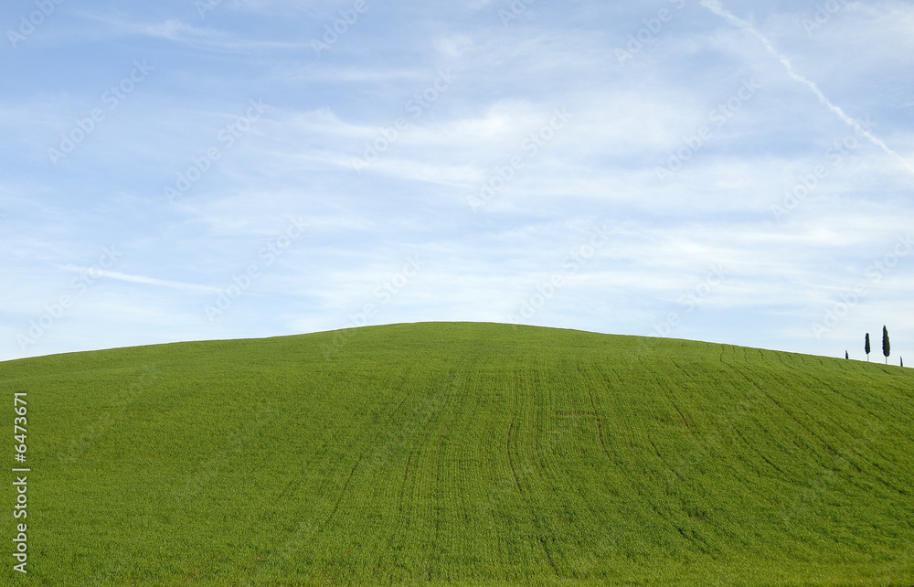 Fototapeta premium Toscana campagna 12