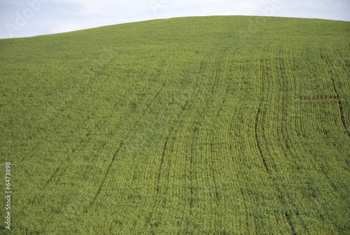 Toscana campagna 15
