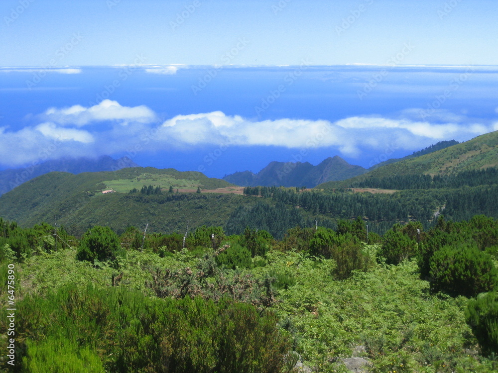 Madeira über den Wolken