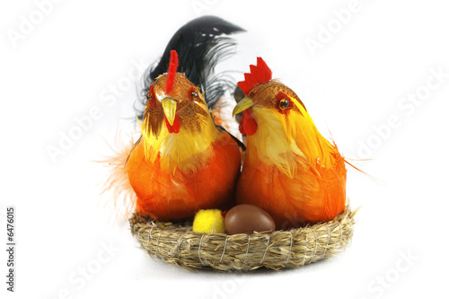 Easter happy, colorful chickens in love on white