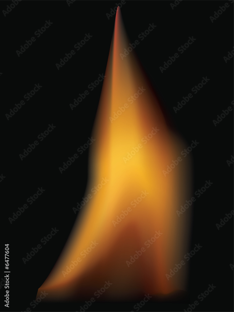 Fire - 1. The realistic vector image of the fire (with mesh).