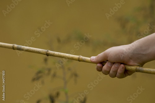 Hand taking a pole