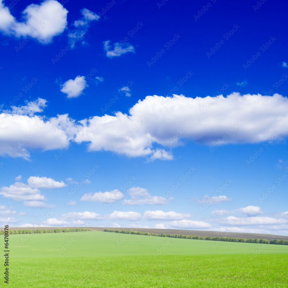 White fluffy clouds and a green spring field. White fluffy clouds and a green spring field.