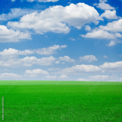 Green spring field covered by a grass and the beautiful blue sky