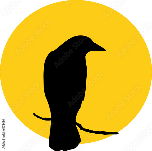 Raven and Sun