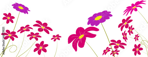 vecteur série - fleurs isolées sur un fond blanc