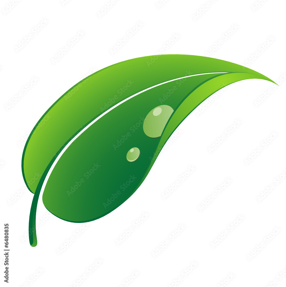 feuille verte
