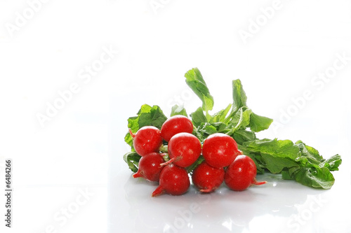 Radish