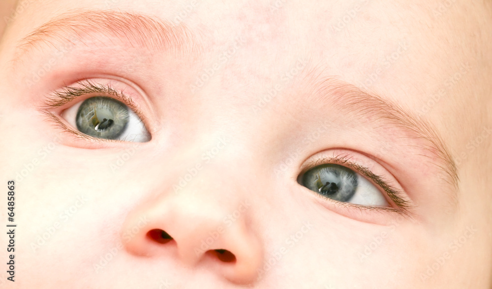 Naklejka premium Baby's eyes