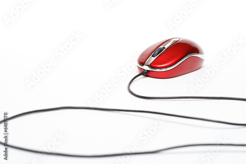 computer mouse