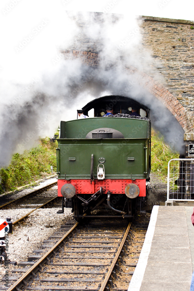 Obraz premium Pod mostem przejeżdża lokomotywa parowa