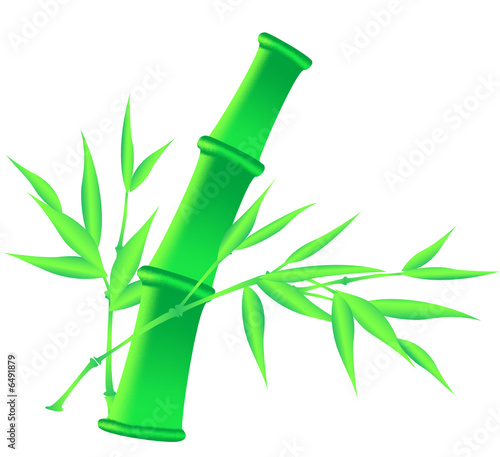 green bamboo and foliage. Vector illustration