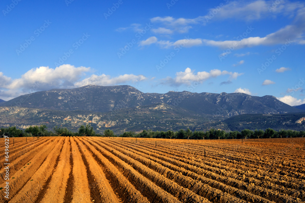 Farmland right after tillage, ready to grow a rich crop