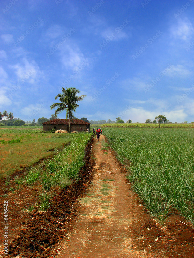 Obraz premium Farmhouse Path