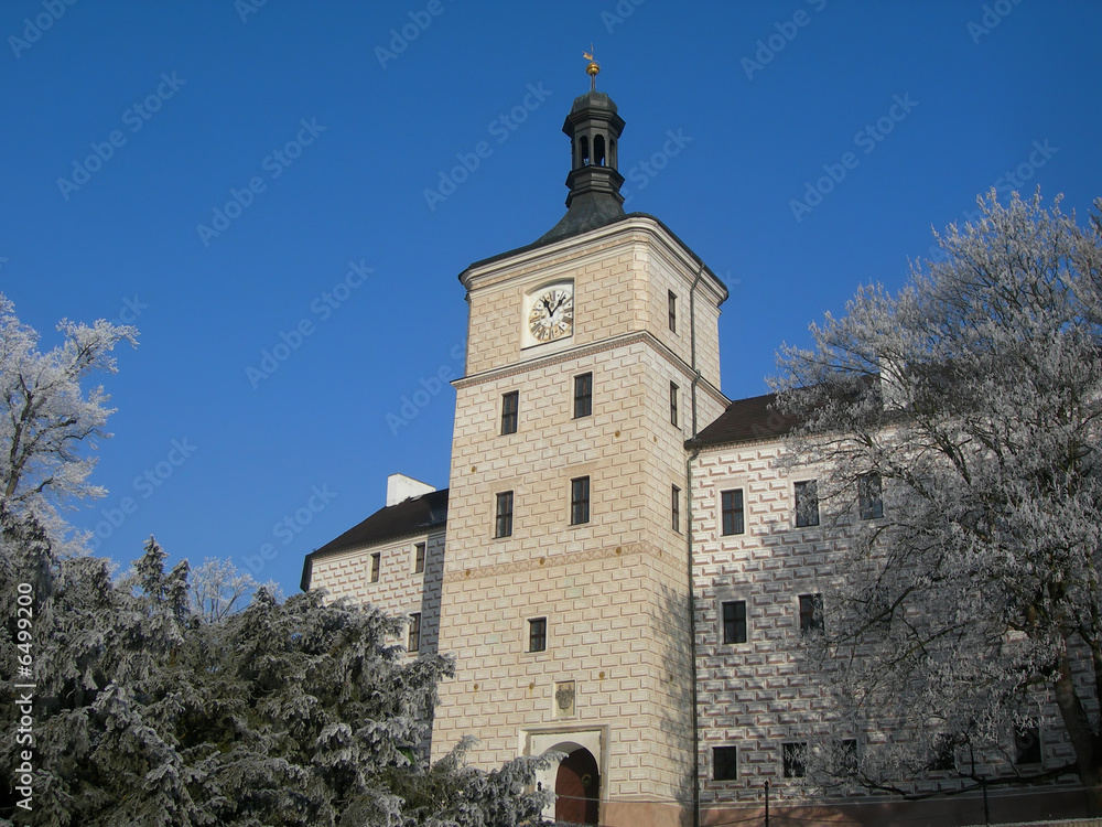 Castle of Breznice in winter