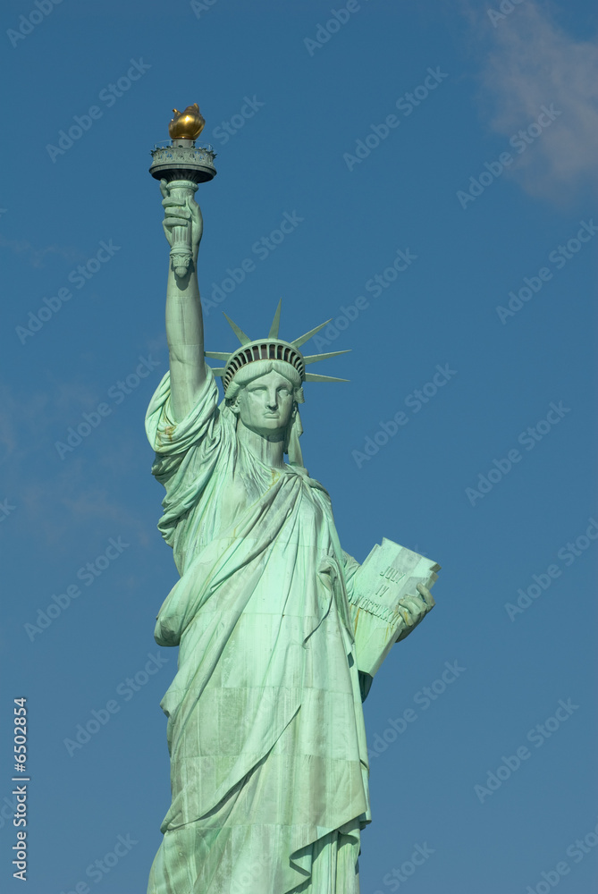 Fototapeta premium liberty statue new york usa
