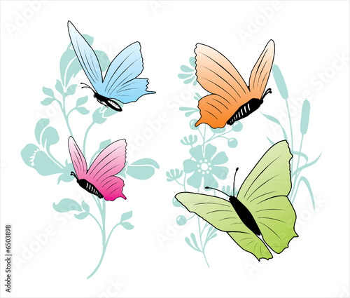 PAPILLONS