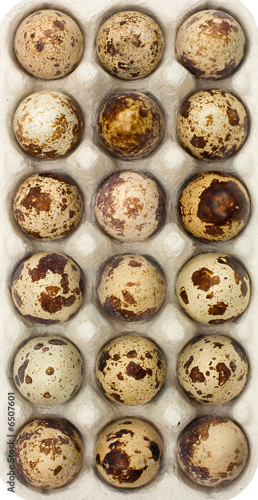 quail eggs in box
