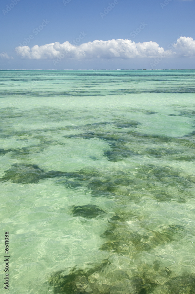 Fototapeta premium idyllic horizon