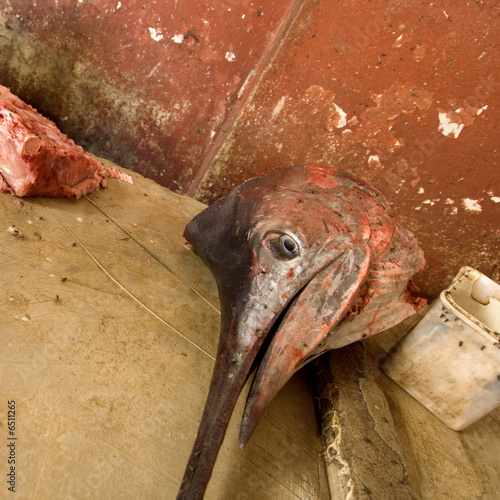 Fresh fish meat on a fish market photo