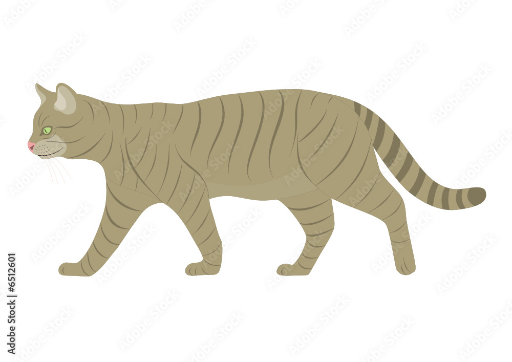 Fototapeta premium Katze(www.fertig-unterricht.de)