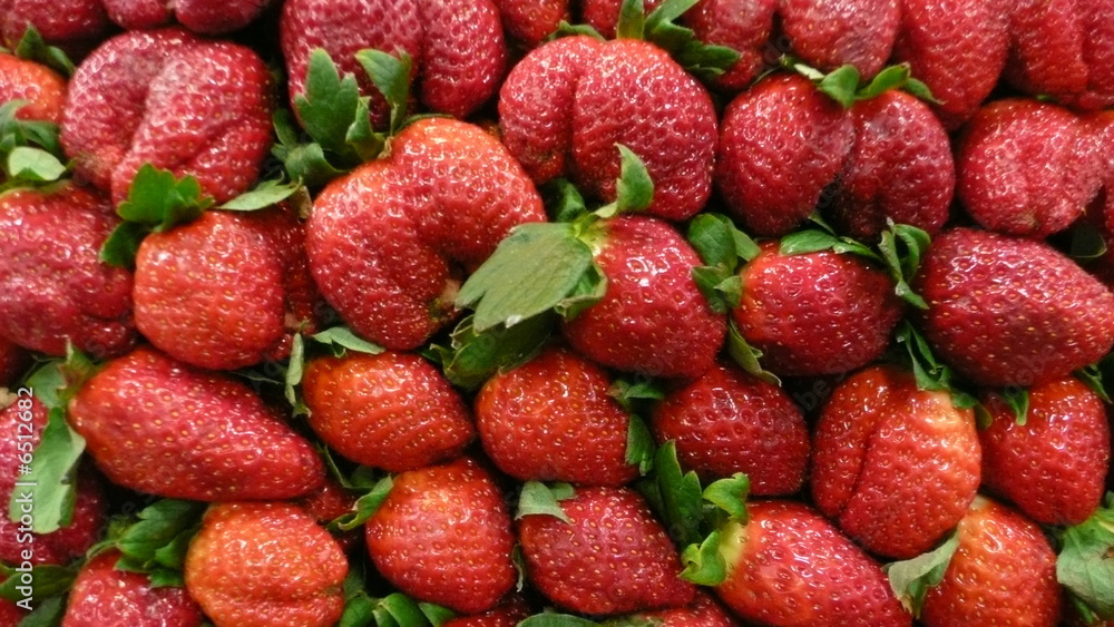 fruits fruits