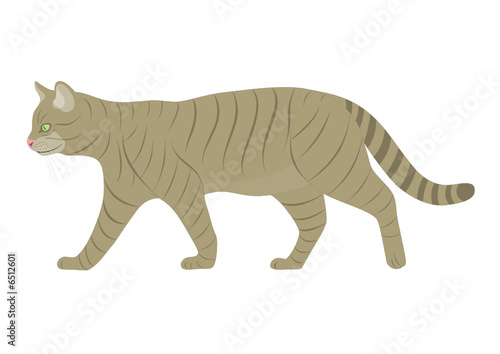 Katze(www.fertig-unterricht.de)