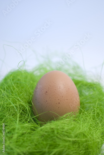 Eggs and green straw photo