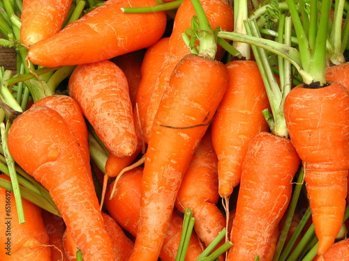 Fresh Carrots