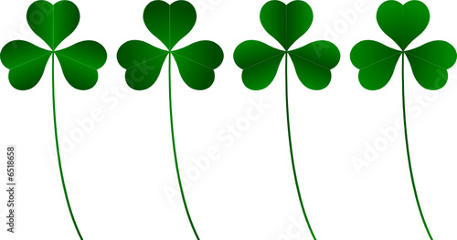 clover three leafs