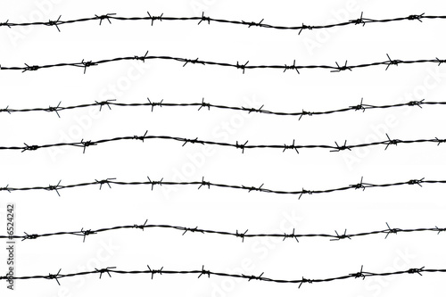 Obraz na płótnie wired fence with barbed wires w salonie