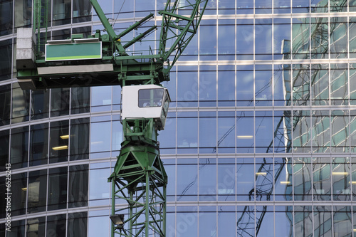 grue verte et reflets