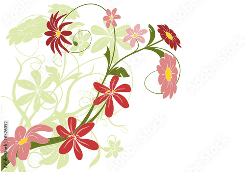 vecteur série - design floral fleurs au printemps