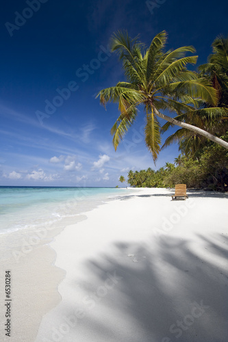 Fototapeta Naklejka Na Ścianę i Meble -  Beach chair under palm tree, Maldives