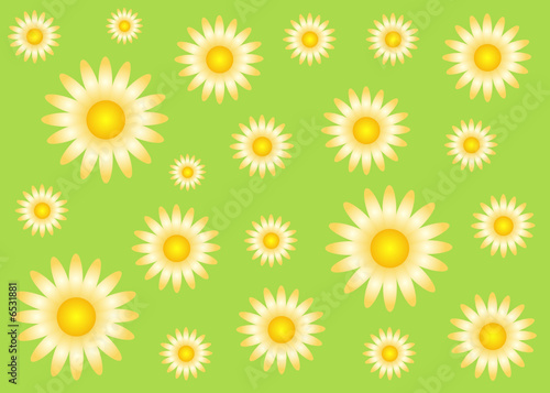 Blume, Blätter, Blüte