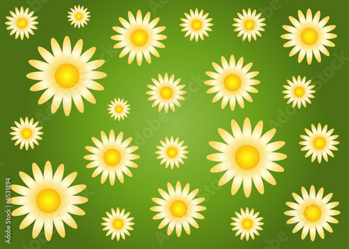 Blume, Blätter, Blüte