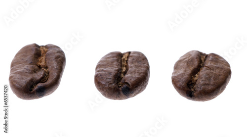  coffee bean isolated