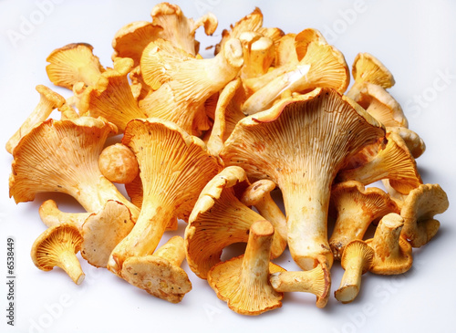 Mushrooms; Objects on white background