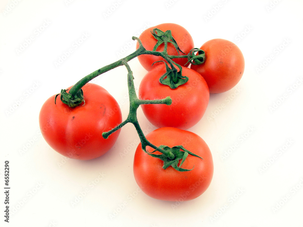 Tomatoes Tomatoes
