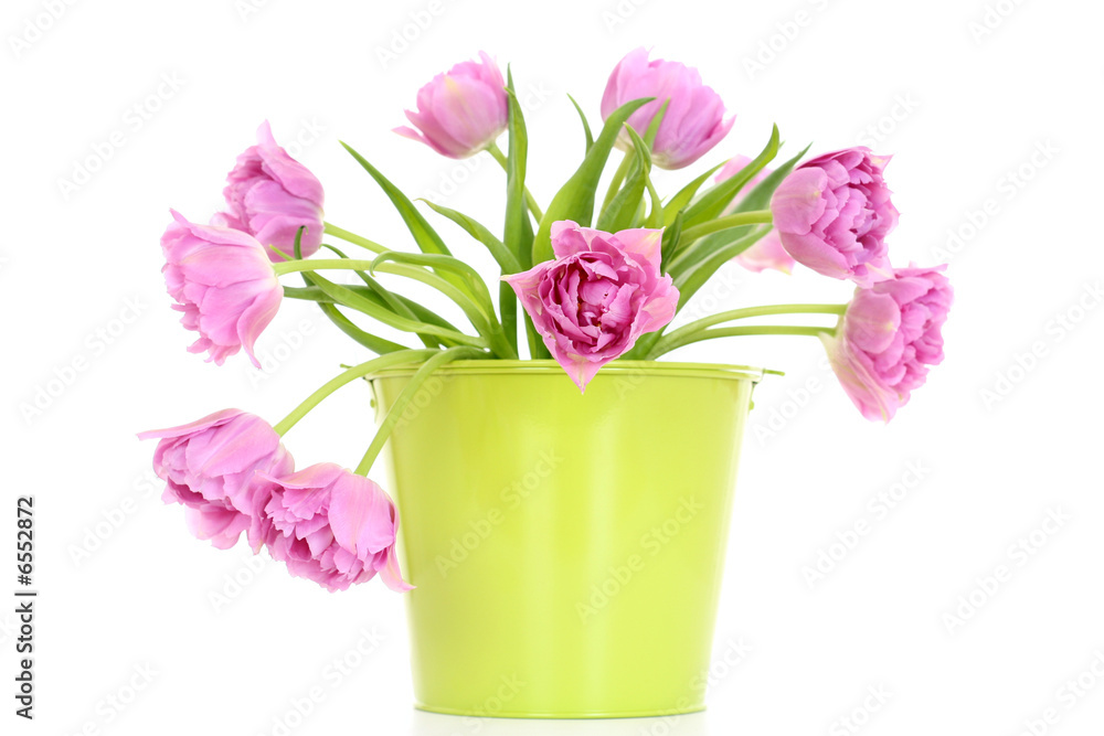 spring time! spring time!
