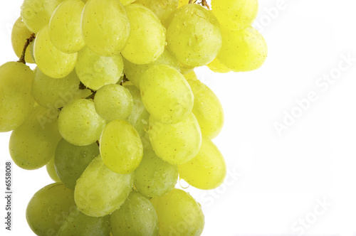 Ripe branch of a grapes.