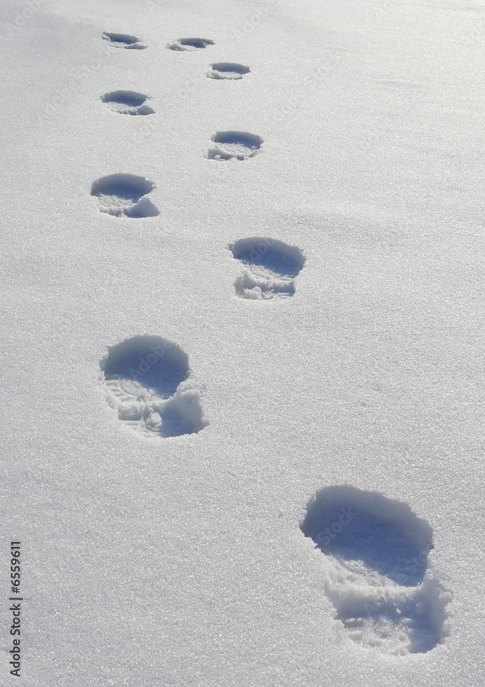 Impronte sulla neve