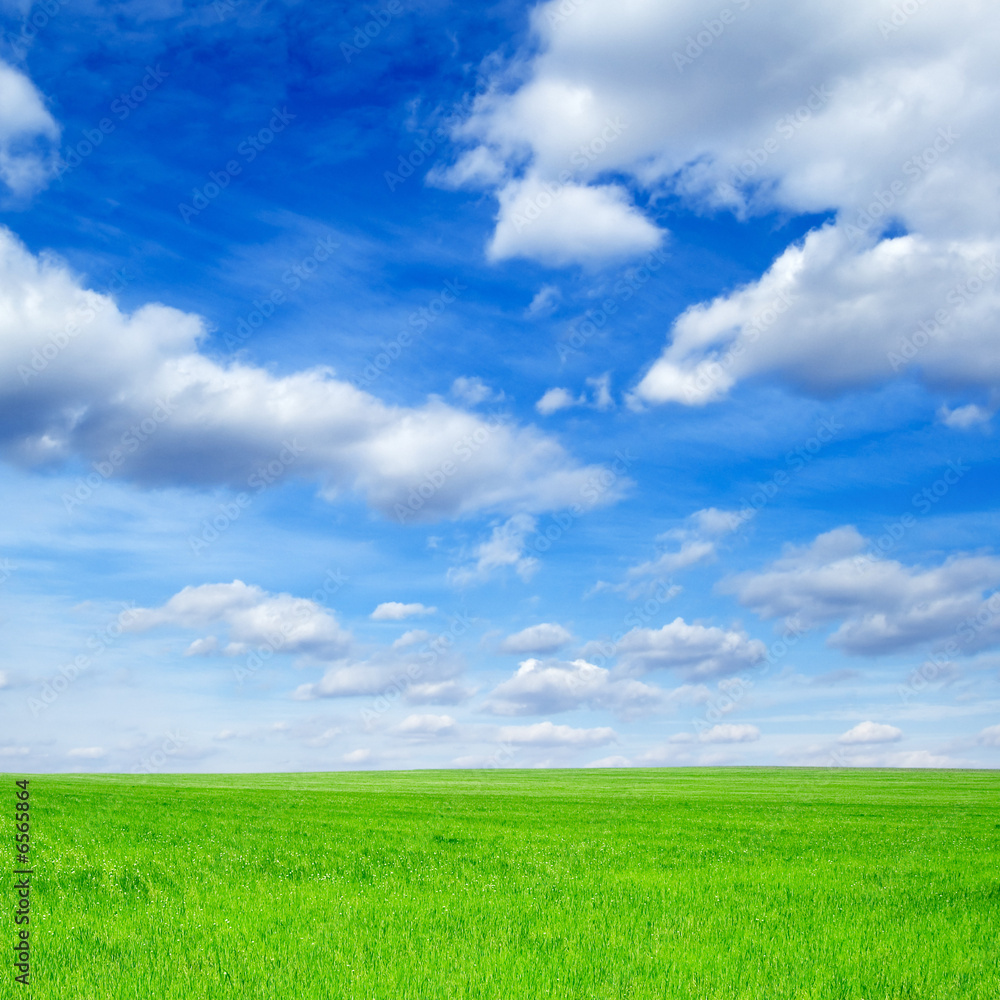 fields fields
