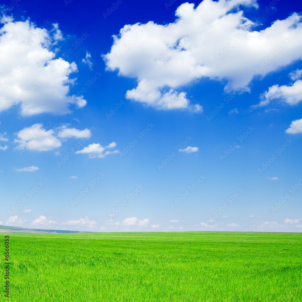spring fields spring fields
