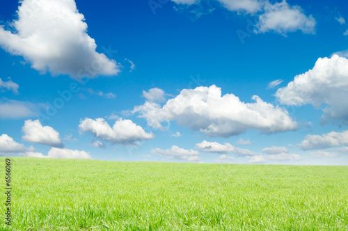 clouds and field